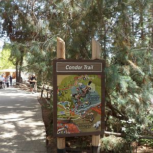 Conder Ridge Entery Area