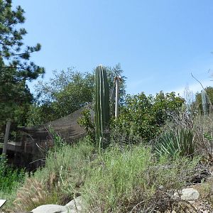 View from Condor Ridge
