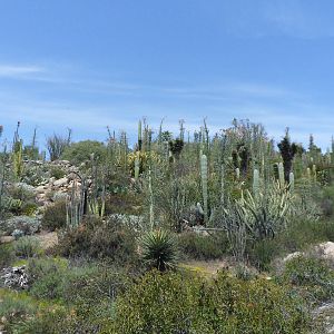 View from Condor Ridge