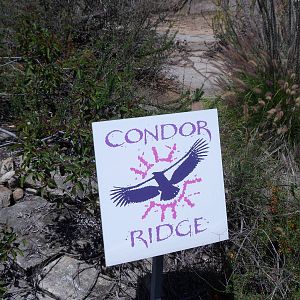 Condor Ridge