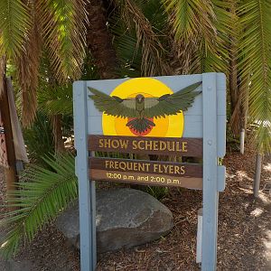 Frequent Flyers Entery