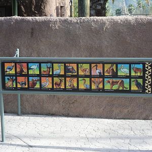 Journey Into Africa Species List #1