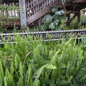 Congo Fishing Village