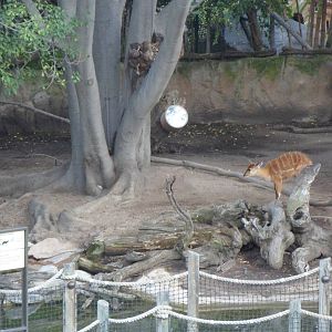 Congo Fishing Village Sititunga