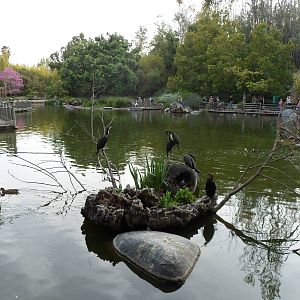 Congo Fishing Village