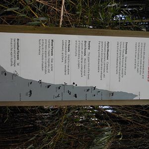 Bronx Zoo- Himalayan Highlands- Himalayan Mountain Zones Signage