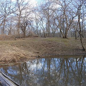 Bronx Zoo- Himalayan Highlands- Part 1 of White-naped Crane Exhibit