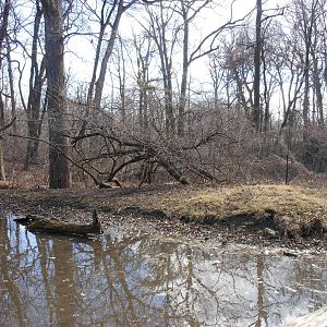 Bronx Zoo- Himalayan Highlands- Part 3 of White-naped Crane Exhibit