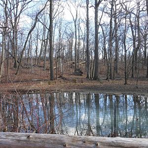 Bronx Zoo- Northern Ponds- Part 1 of Black-necked Crane Exhibit