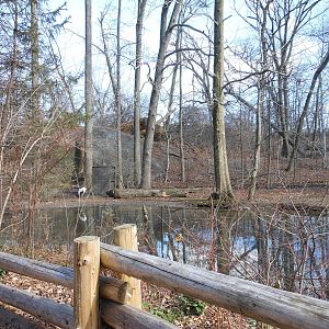 Bronx Zoo- Northern Ponds- Part 2 of Black-necked Crane Exhibit
