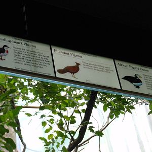 Bronx Zoo- World of Birds- Mixed Exhibit Signage 2