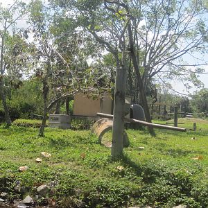 Primate Expedition Cruise- Spider Monkey Island 1