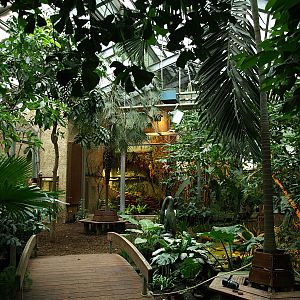 Interior of Bird house