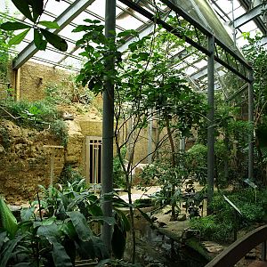 Interior of Bird house
