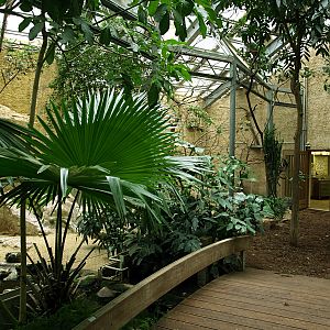 Interior of Bird house