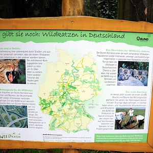 Wildcat sign at Wildpark Lüneburger Heide
