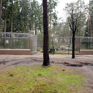 New windows to the wolves at Wildpark Lüneburger Heide