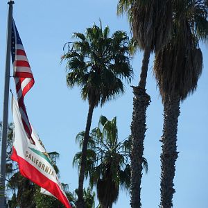 San Diego Zoo Enterence Flags