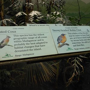 Bronx Zoo- World of Birds- Rainforest Room Signage 2