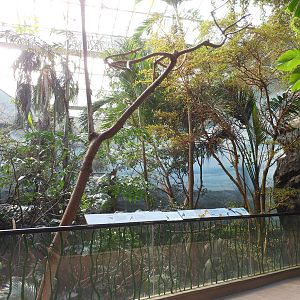 Bronx Zoo- World of Birds- Rainforest Room 2