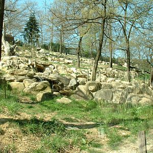 Pistoia Zoo - March 2012