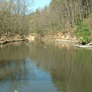 Pistoia Zoo - March 2012