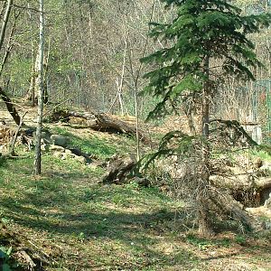 Pistoia Zoo - March 2012