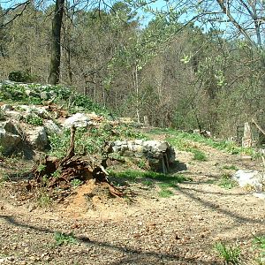 Pistoia Zoo - March 2012