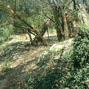Pistoia Zoo - March 2012