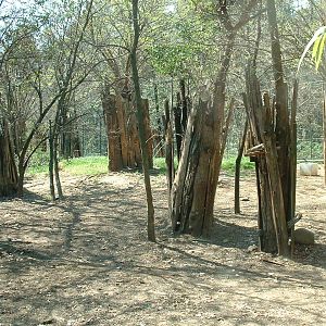 Pistoia Zoo - March 2012