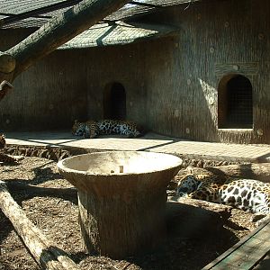 Pistoia Zoo - March 2012