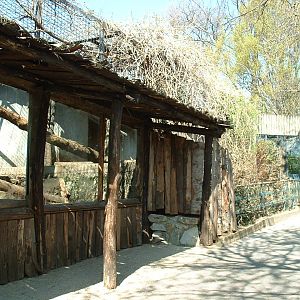 Pistoia Zoo - March 2012