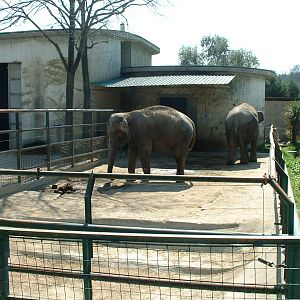 Pistoia Zoo - March 2012