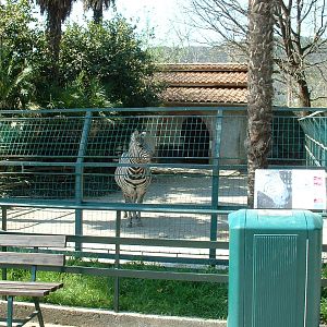 Pistoia Zoo - March 2012
