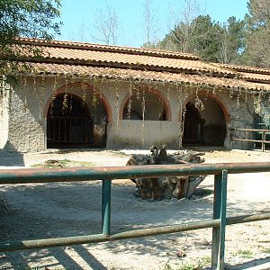 Pistoia Zoo - March 2012
