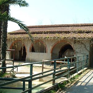 Pistoia Zoo - March 2012