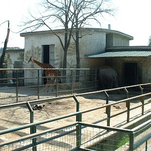 Pistoia Zoo - March 2012