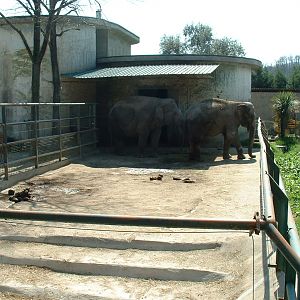 Pistoia Zoo - March 2012