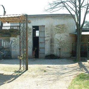 Pistoia Zoo - March 2012