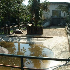 Pistoia Zoo - March 2012