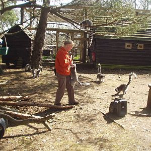 Monkey World 2nd April 2012