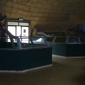 Pistoia Zoo - March 2012