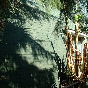 Pistoia Zoo - March 2012