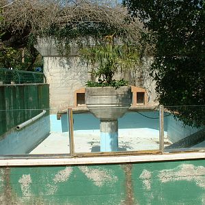Pistoia Zoo - March 2012