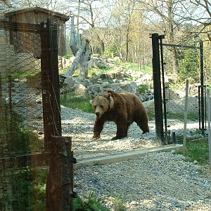 Pistoia Zoo - March 2012