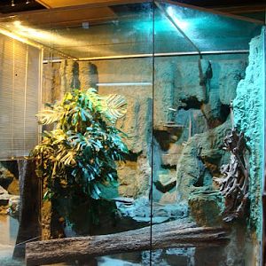 New terrarium for anacondas