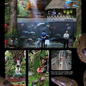 Concept Art for the new Living Planet Aquarium opening in 2013