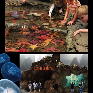 Concept Art for the new Living Planet Aquarium opening in 2013