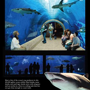 Concept Art for the new Living Planet Aquarium opening in 2013