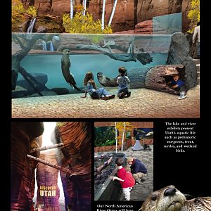 Concept Art for the new Living Planet Aquarium opening in 2013